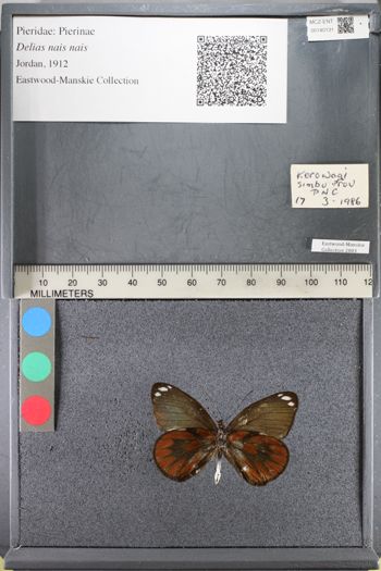 Media type: image;   Entomology 140131